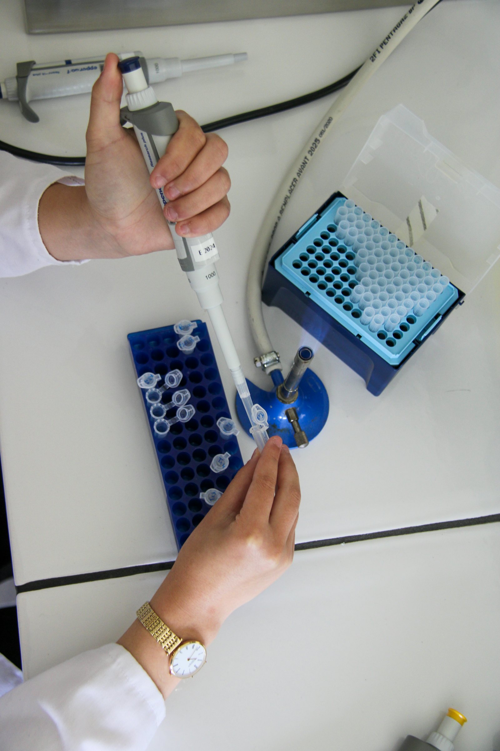 Analyst preparing a sample for HPLC analysis